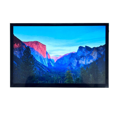 comprar 10.1 polegada 850cd/M2 Medical TFT Display Screen USB 5V para automóvel online manufacture