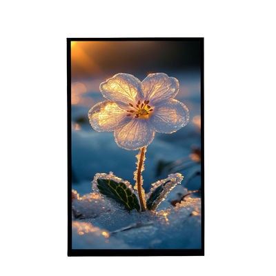 comprar 10Ecrã de retrato de 1 polegada IPS visualização 800x1280 Resolução Tft LCD Display para carro online manufacture