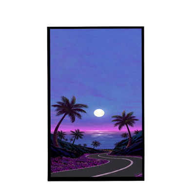 comprar 10.1 polegada TFT LCD Display Todos os ângulos de visão Conexão Transmissora Pin 40PIN Temperatura de armazenamento -30°C -70°C online manufacture