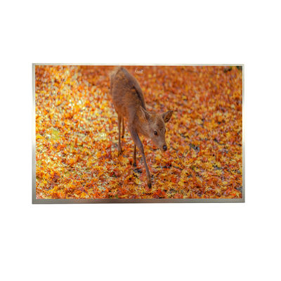 8' IPS FHD LVDS TFT Display 1000cd Luminância 1920*1200 Resolução