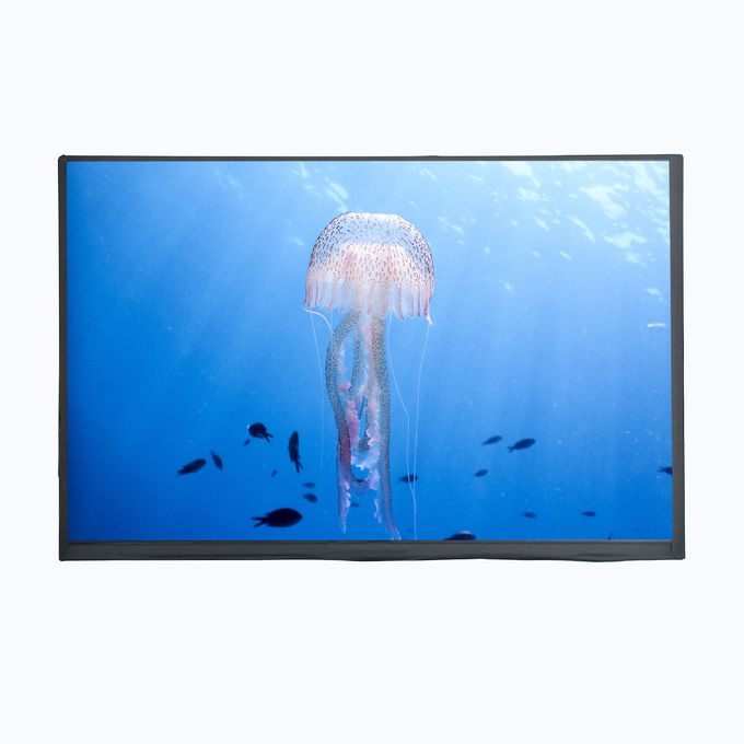 LCD Mall 10,1 polegadas TFT LCD Display Com EM Touch Panel 750cd/m2 1280XRGBX800 Resolução 0